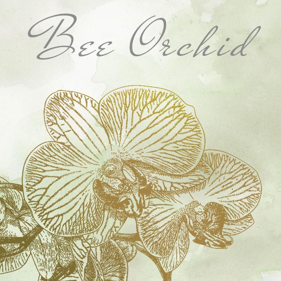 Arte Oliva Bed & Breakfast เกรบัชติซา ภายนอก รูปภาพ